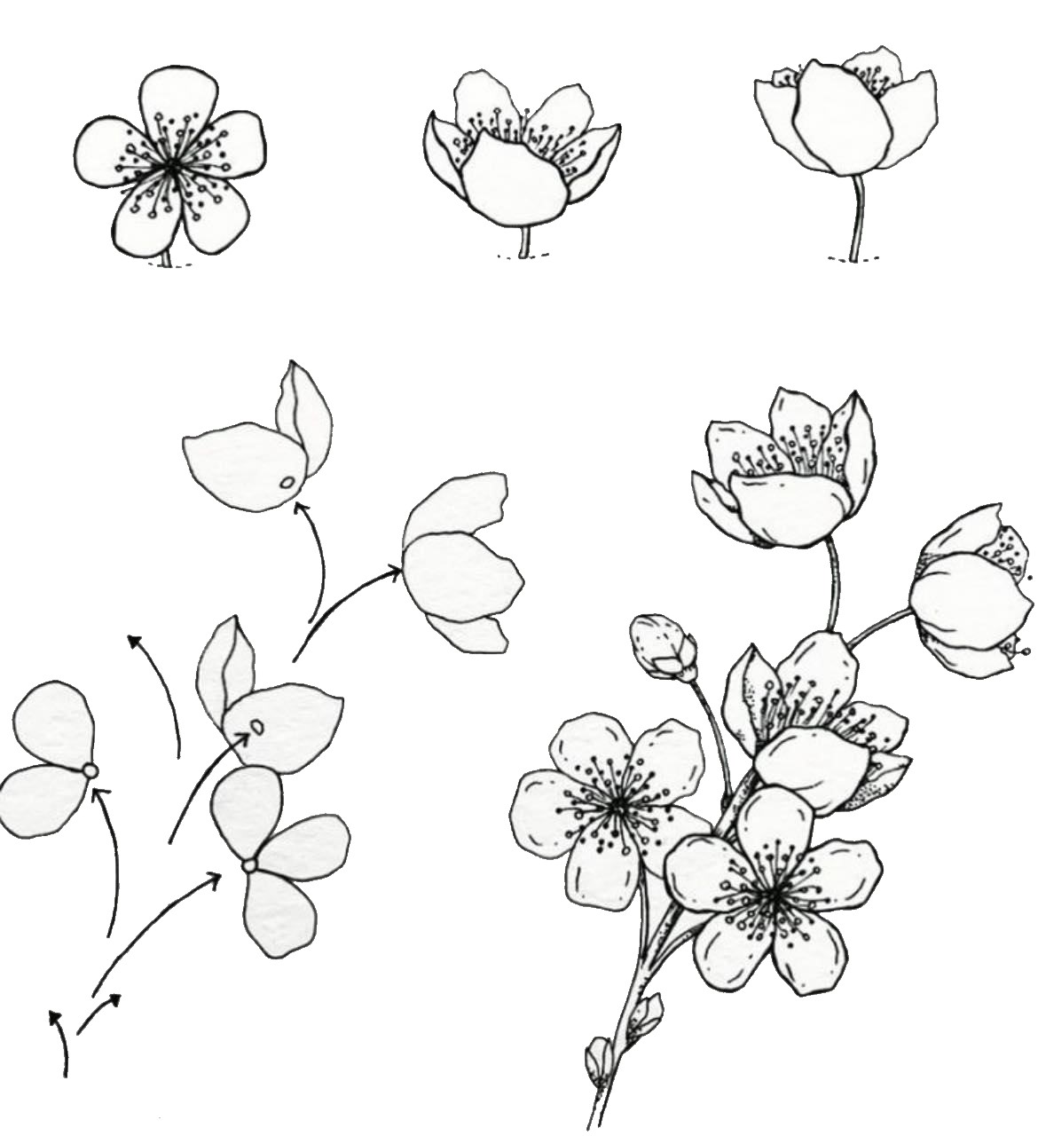 Kirsikankukkien idea (13) piirustus