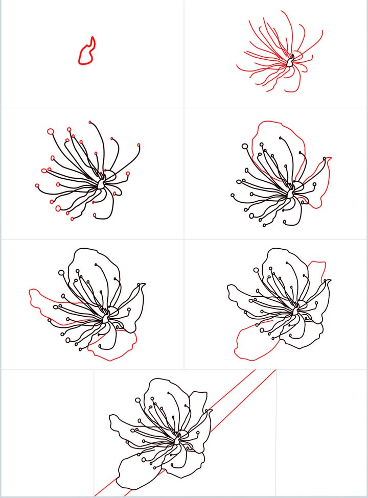 Kirsikankukkien idea (14) piirustus