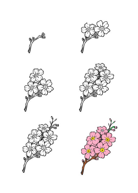 Kirsikankukkien idea (15) piirustus