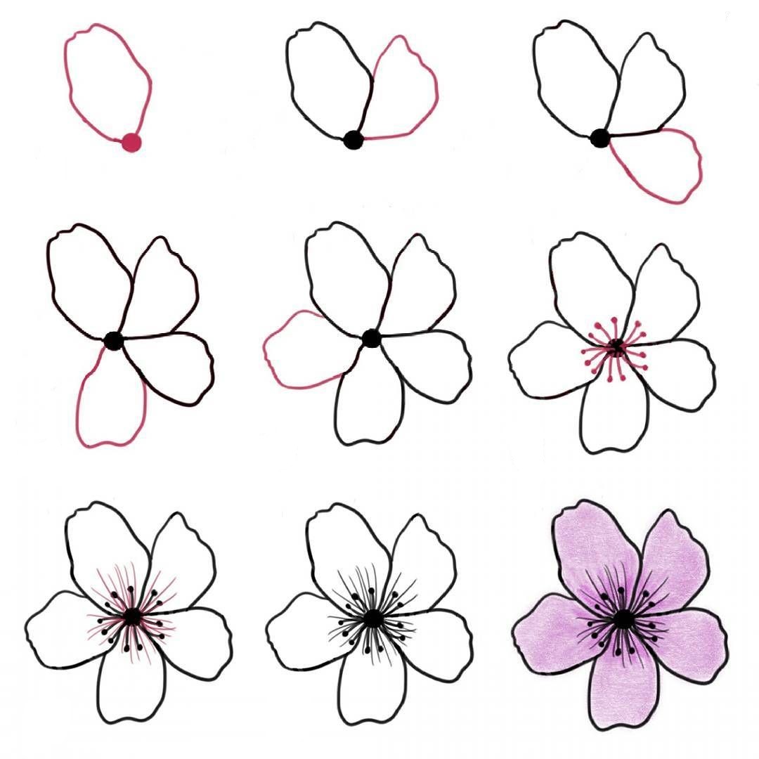 Kirsikankukkien idea (20) piirustus