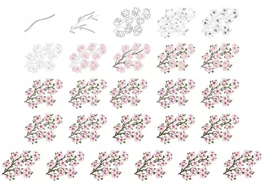 Kirsikankukkien idea (23) piirustus