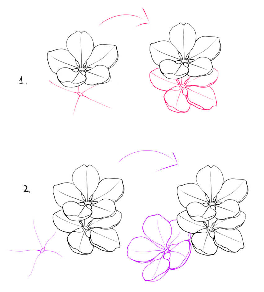 Kirsikankukkien idea (28) piirustus