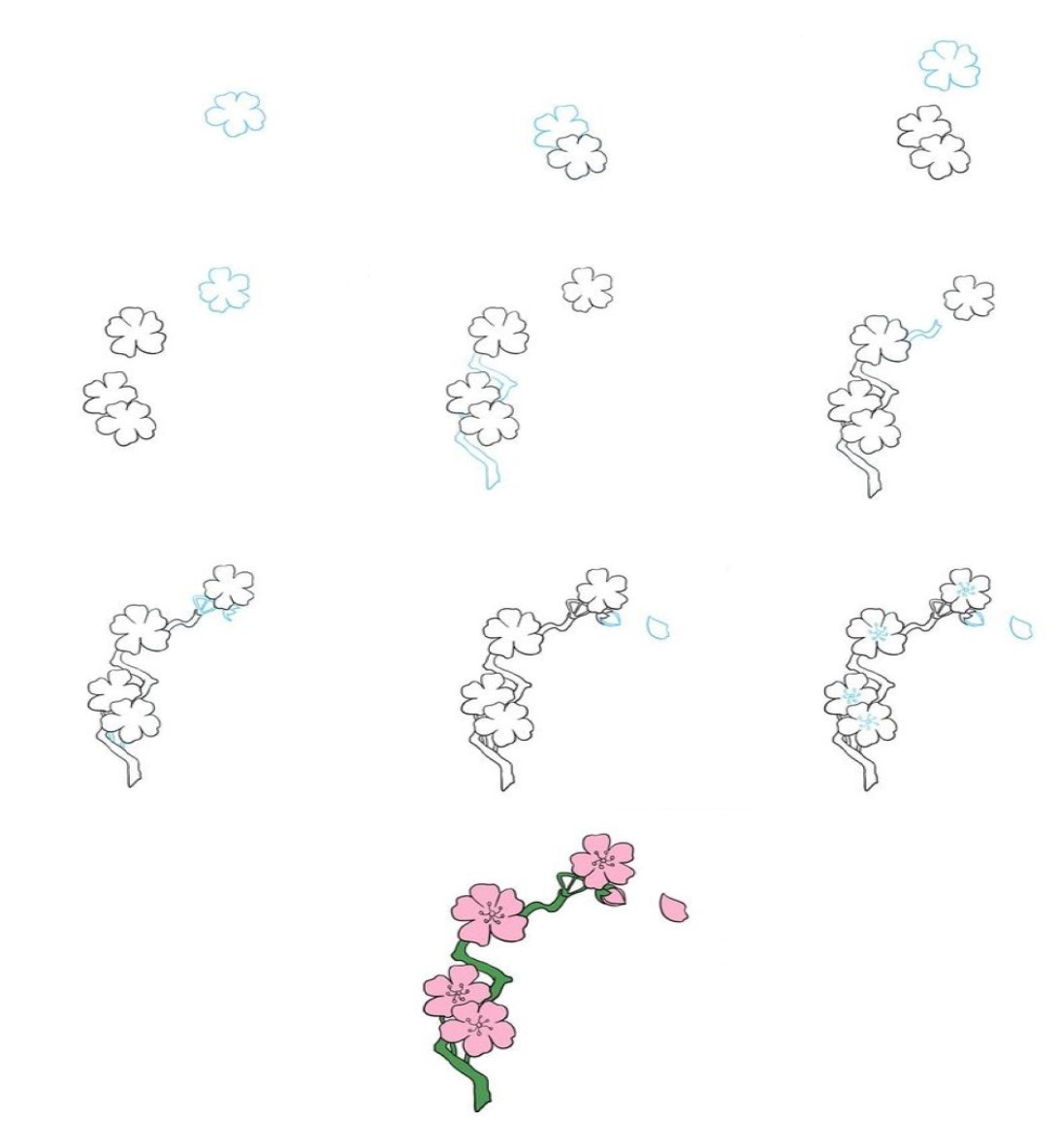 Kirsikankukkien idea (3) piirustus