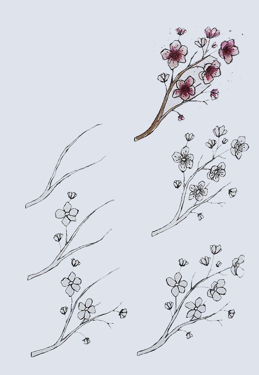 Kirsikankukkien idea (5) piirustus