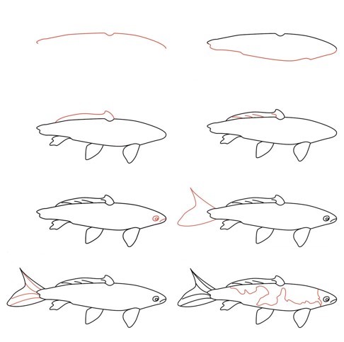 Koi kala idea (25) piirustus
