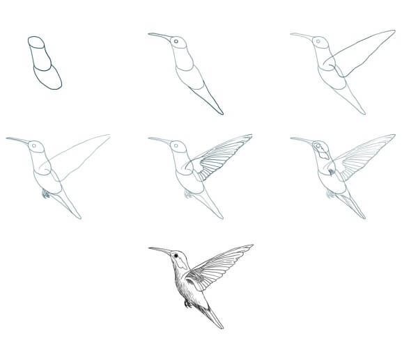 Kolibri idea (10) piirustus
