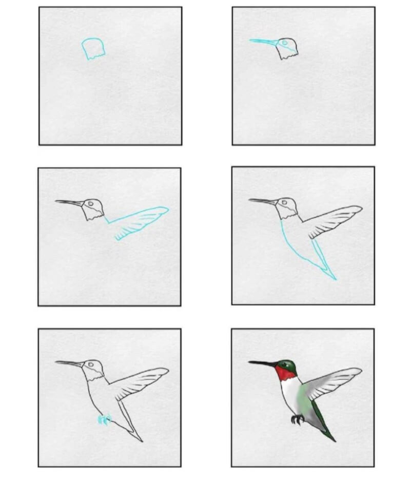 Kolibri idea (11) piirustus