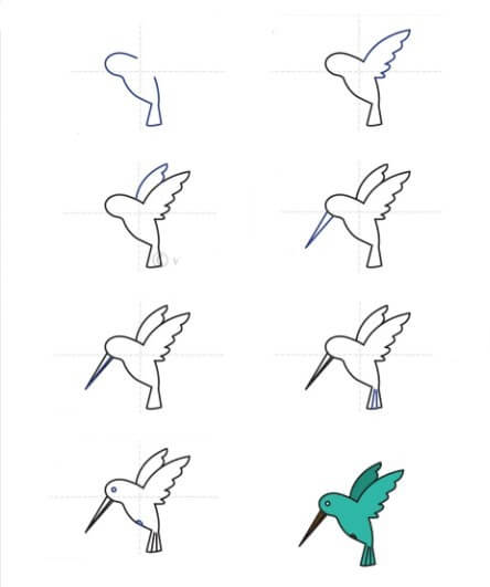 Kolibri idea (16) piirustus