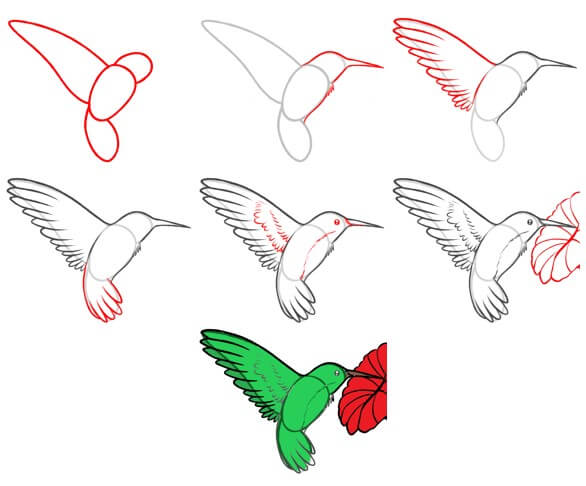 Kolibri idea (17) piirustus