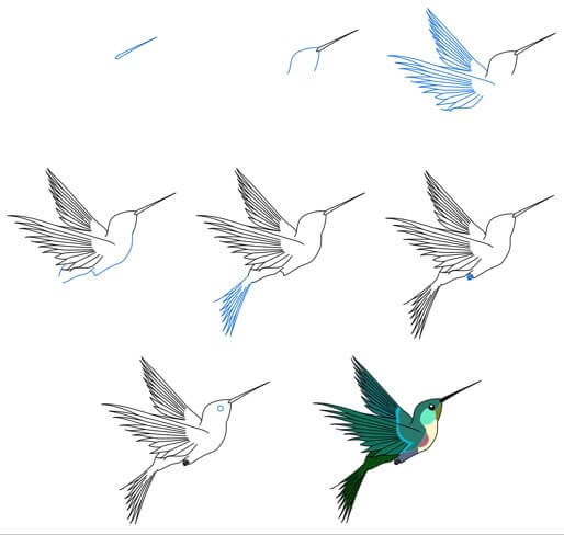 Kolibri idea (18) piirustus