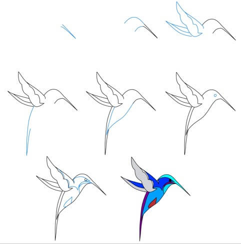 Kolibri idea (19) piirustus
