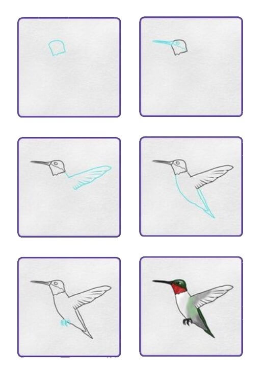 Kolibri idea (2) piirustus