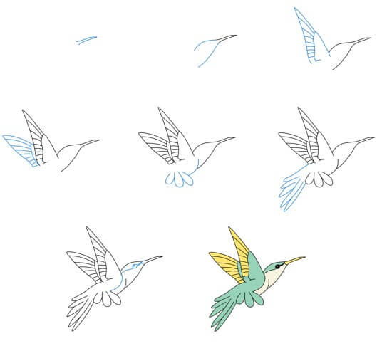 Kolibri idea (21) piirustus