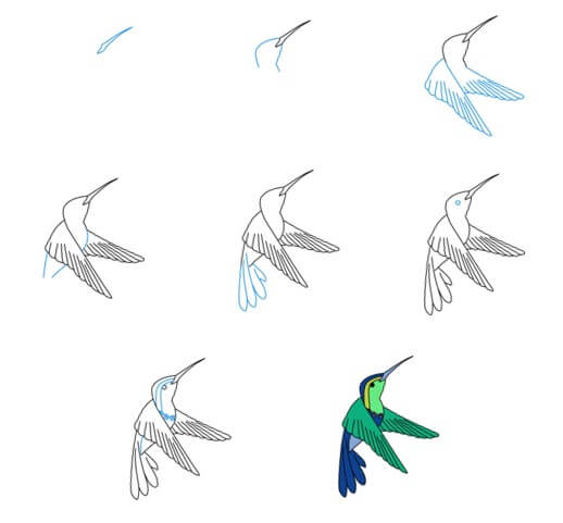 Kolibri idea (22) piirustus