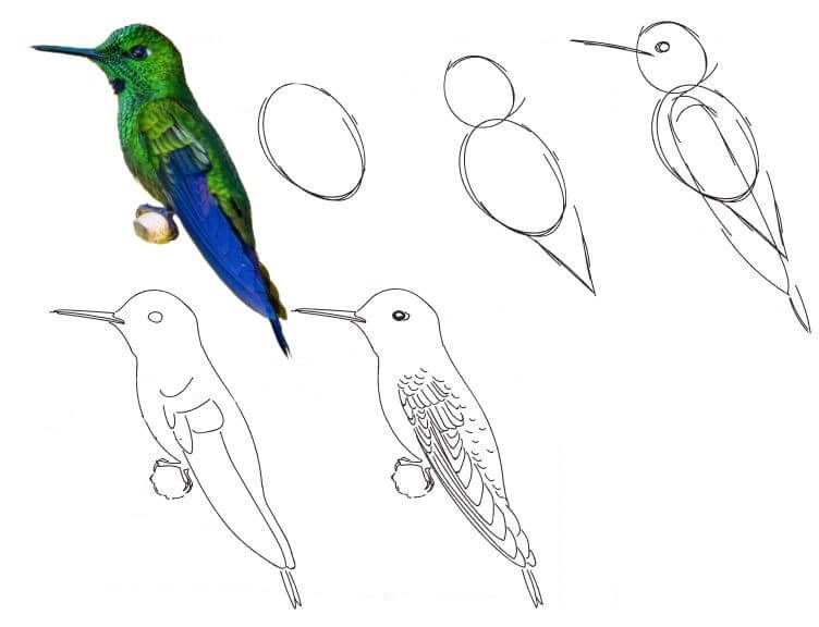 Kolibri idea (24) piirustus