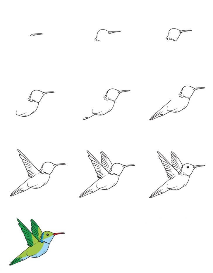 Kolibri idea (25) piirustus