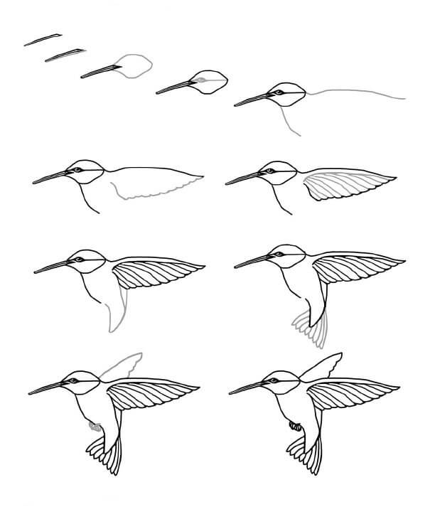 Kolibri idea (26) piirustus
