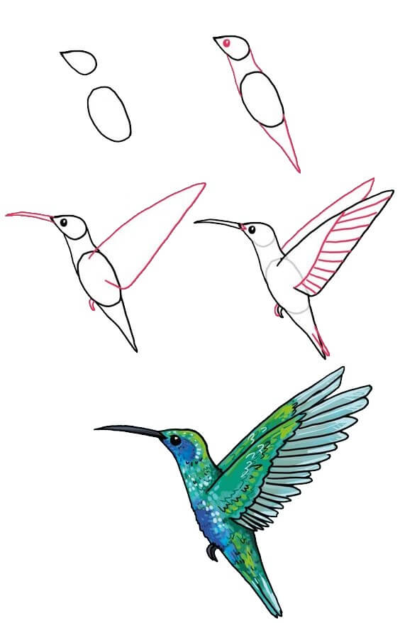 Kolibri idea (4) piirustus