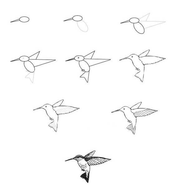 Kolibri idea (5) piirustus