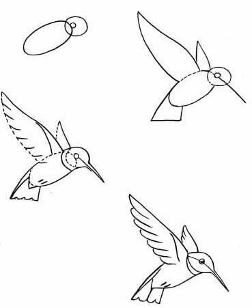 Kolibri idea (7) piirustus