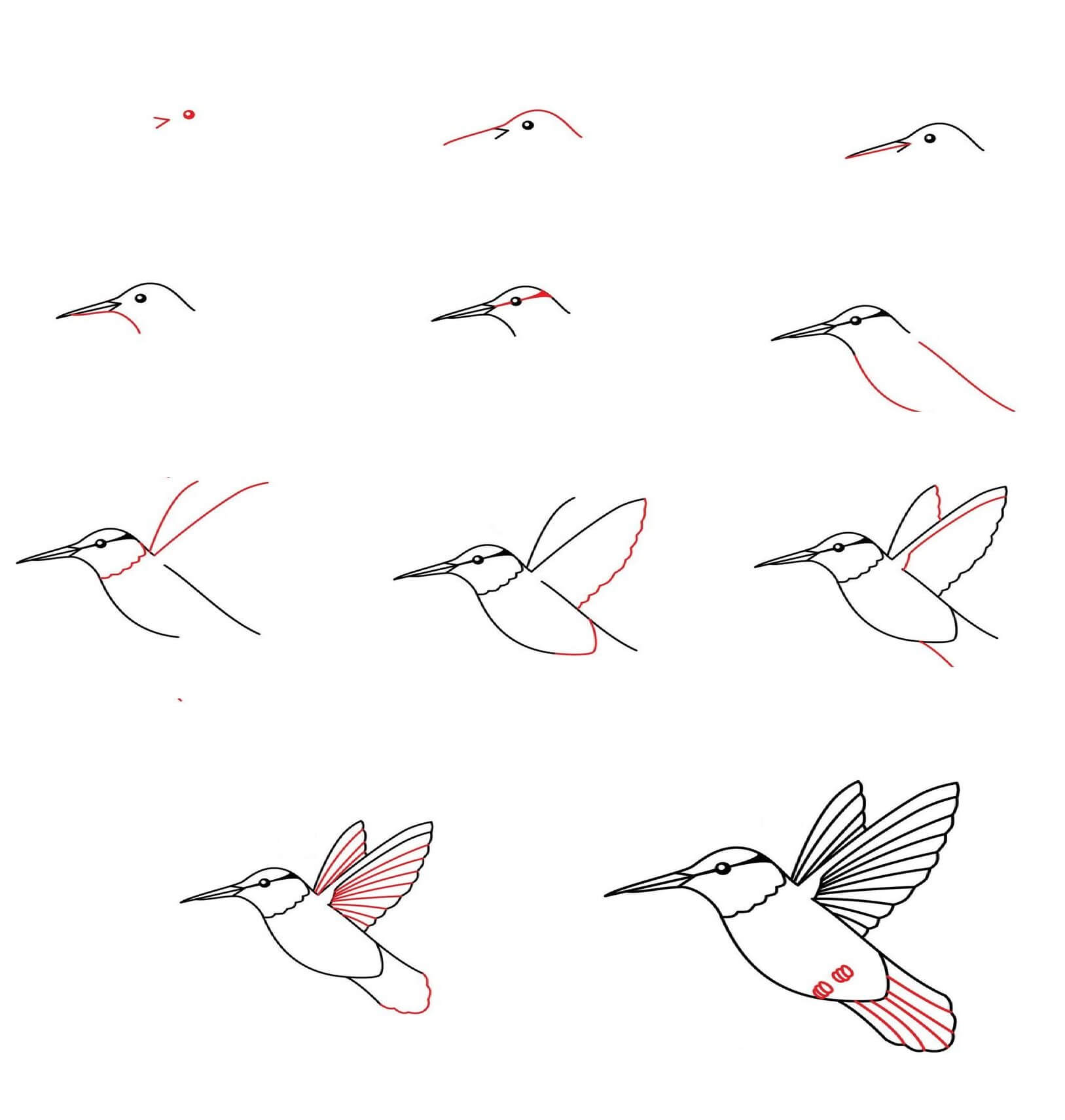 Kolibri idea (8) piirustus