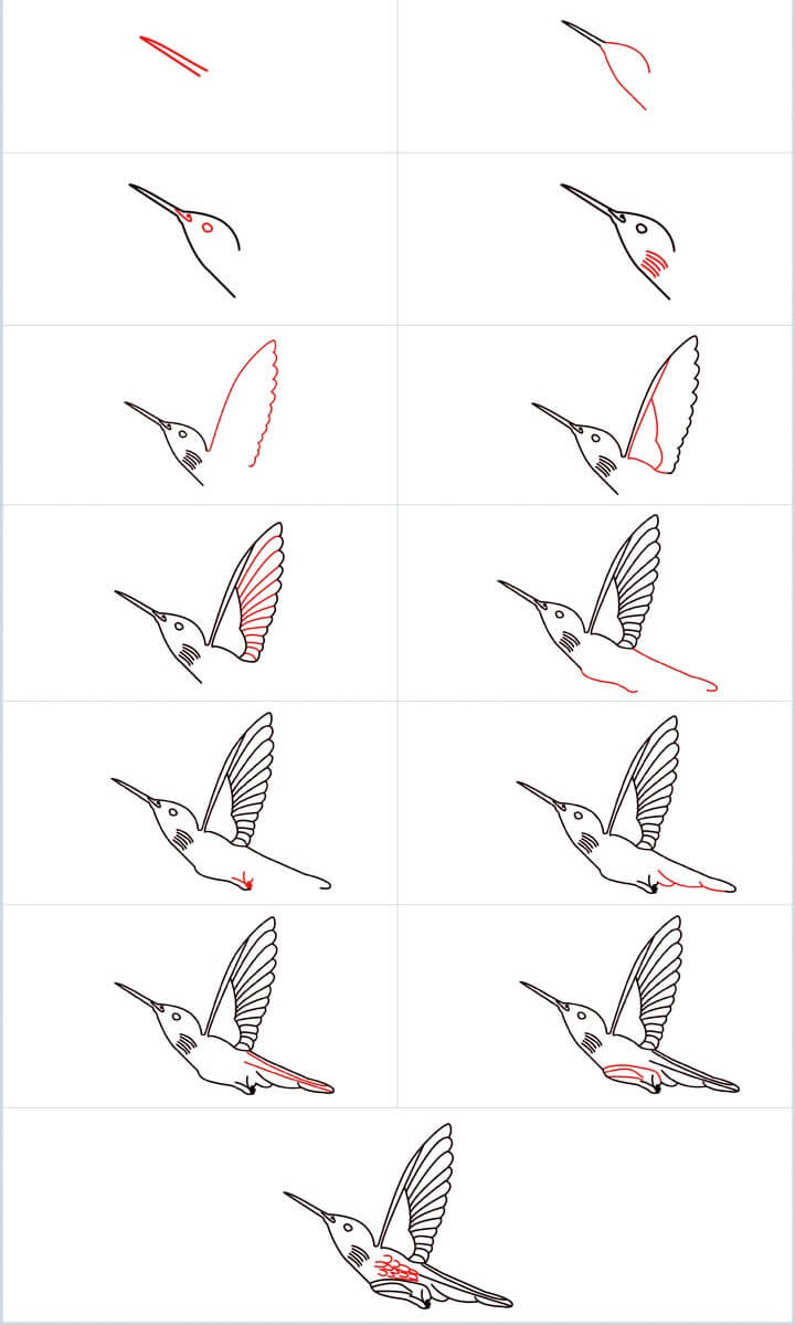 Kolibri idea (9) piirustus