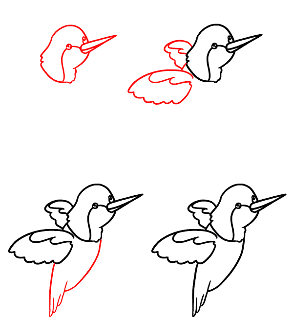 Kolibrivauva piirustus