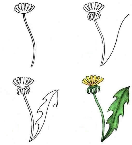 Kukka-idea (11) piirustus