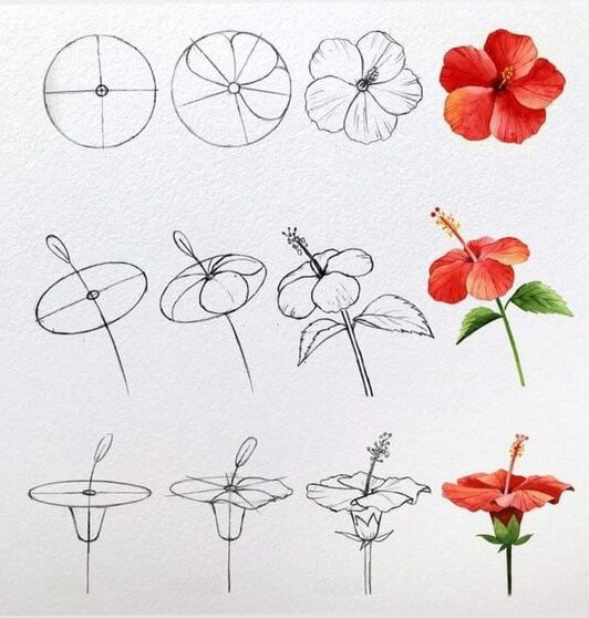 Kukka-idea (24) piirustus