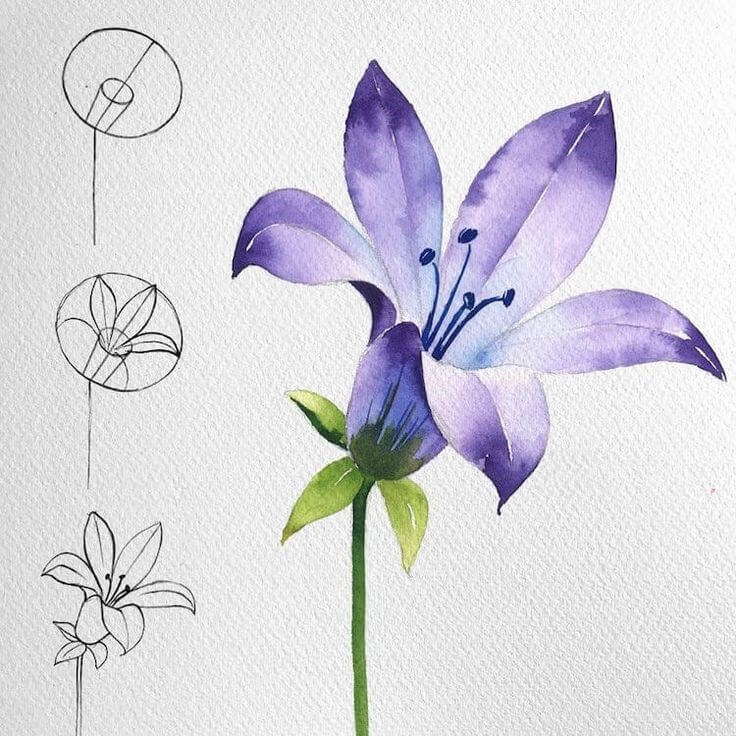 Kukka-idea (28) piirustus