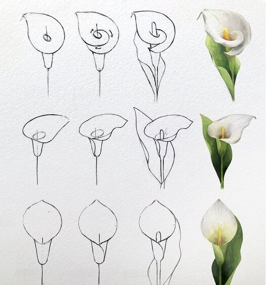 Kukka-idea (38) piirustus