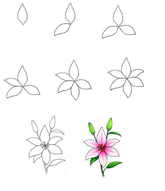 Kukka-idea (41) piirustus