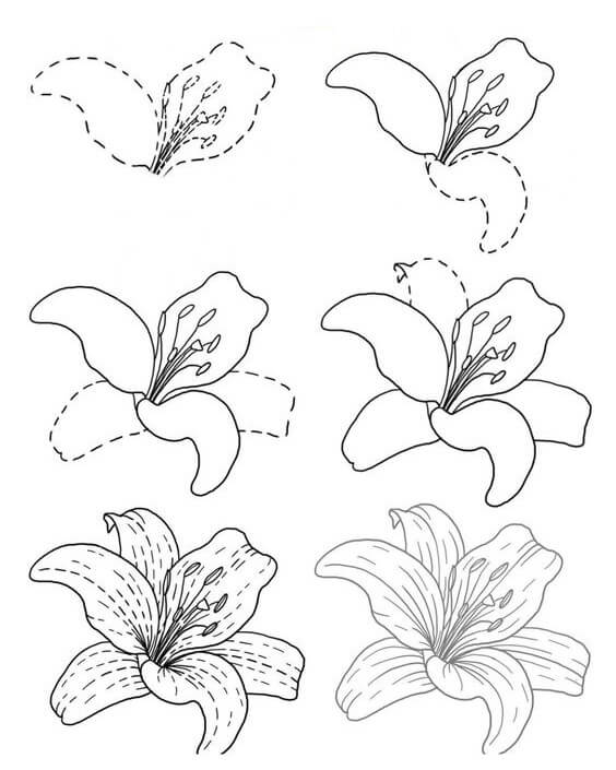 Kukka-idea (42) piirustus