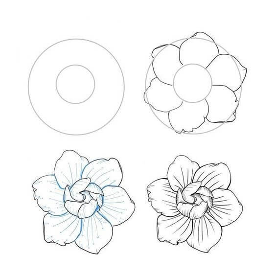 Kukka-idea (45) piirustus