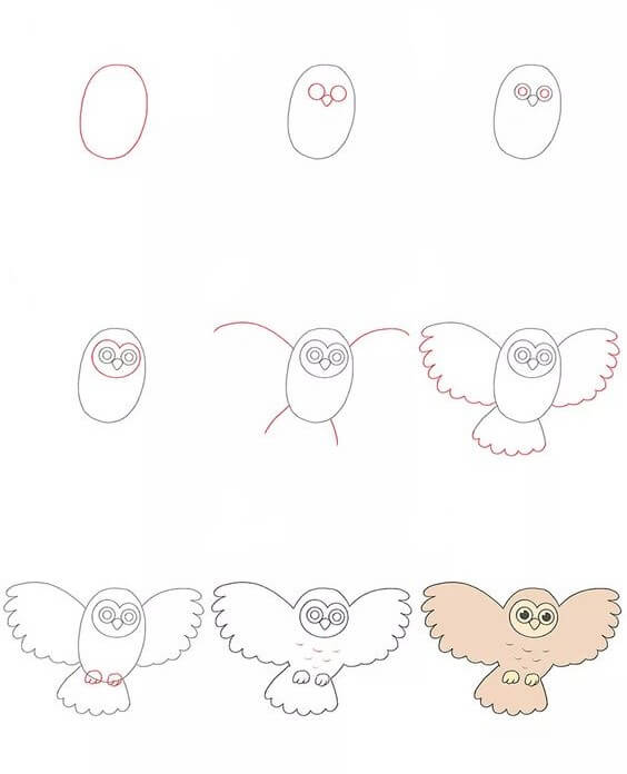 Pöllö idea (24) piirustus