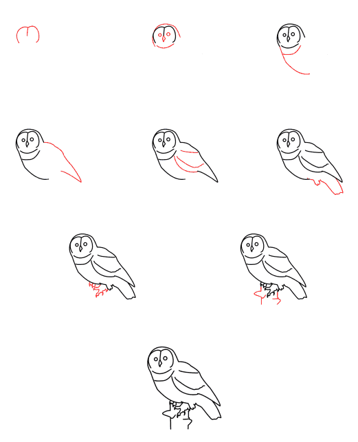 Pöllö piirustus