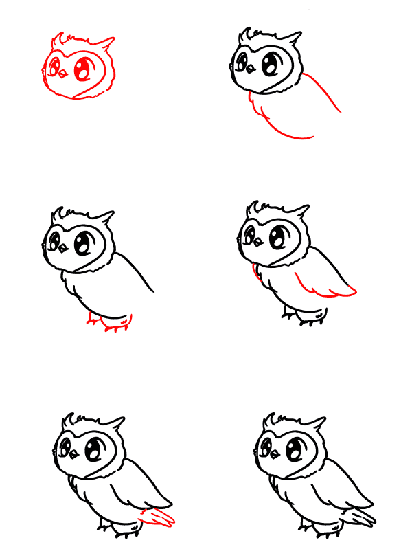 Pöllövauva piirustus
