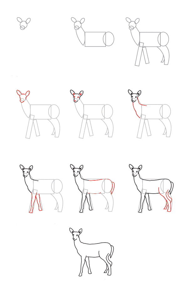 Realistic Deer (1) piirustus