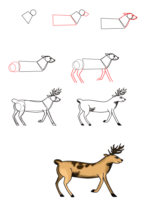 Realistic Deer (2) piirustus