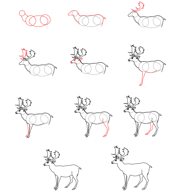 Realistic Deer (3) piirustus