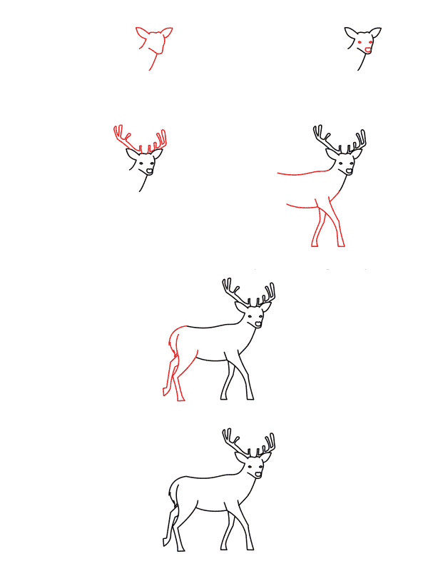 Realistic Deer (4) piirustus