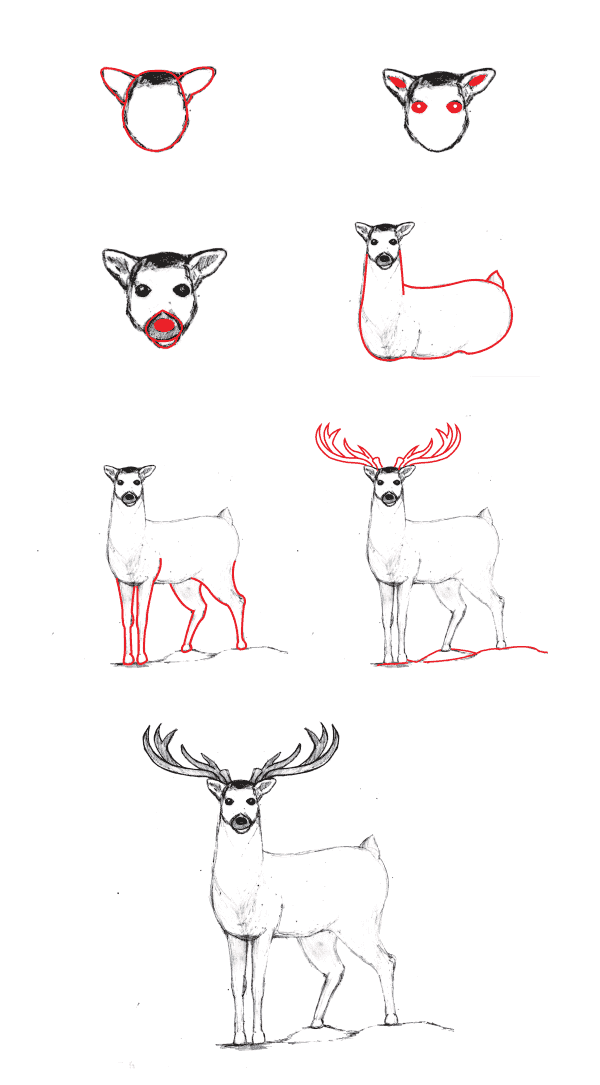 Realistic Deer (5) piirustus