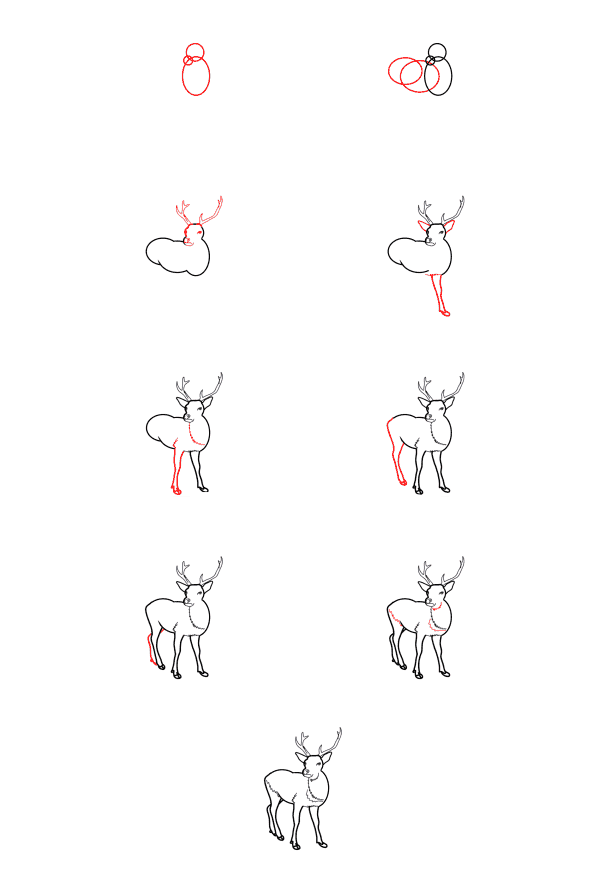 Realistic Deer (6) piirustus
