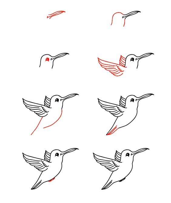Sarjakuva kolibri piirustus