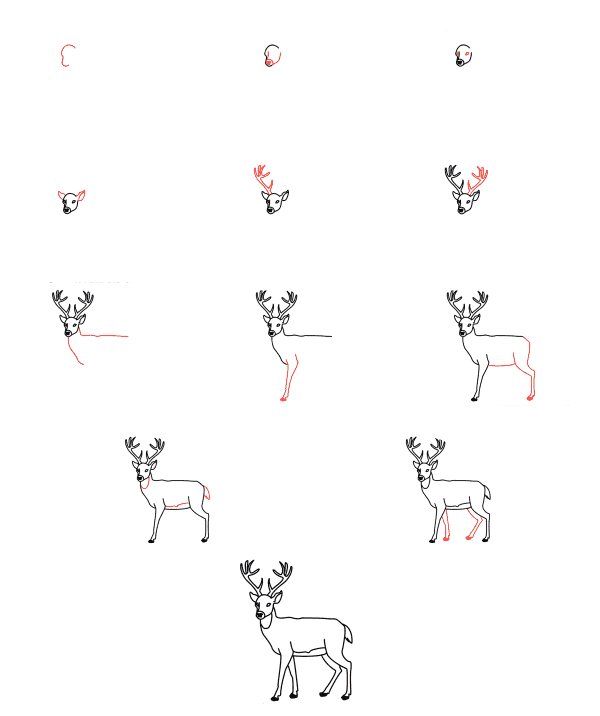 Scared deer (1) piirustus