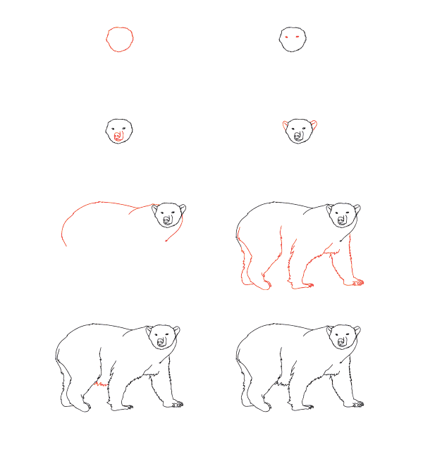 jääkarhu opetusohjelma piirustus