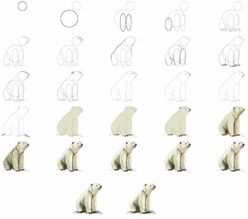 Jääkarhuideoita (11) piirustus