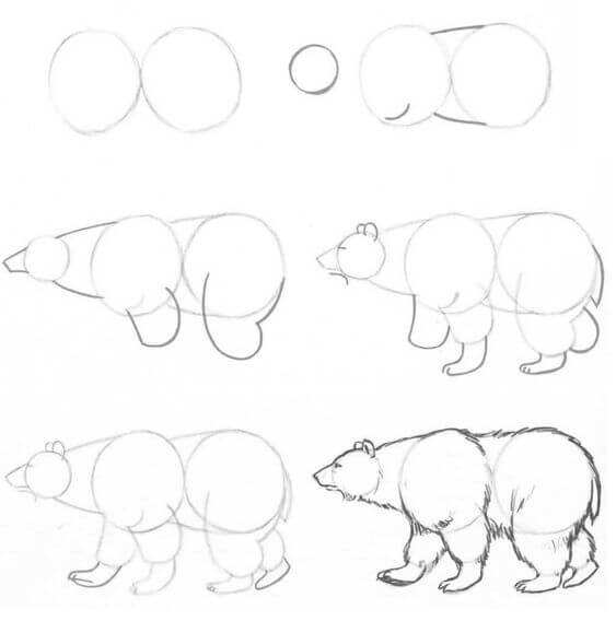 Jääkarhuideoita (2) piirustus