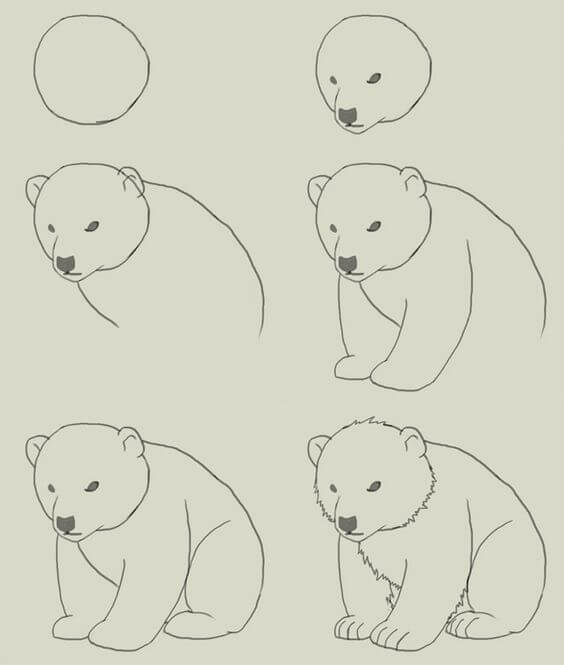 Jääkarhuideoita (24) piirustus