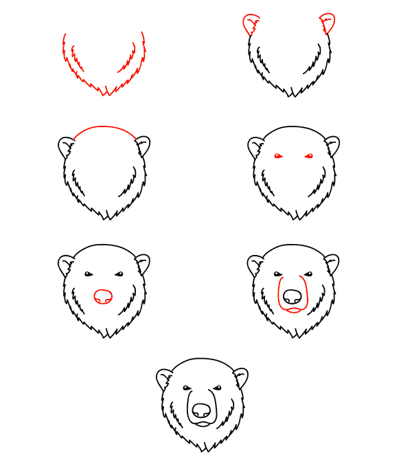 jääkarhun kasvot piirustus